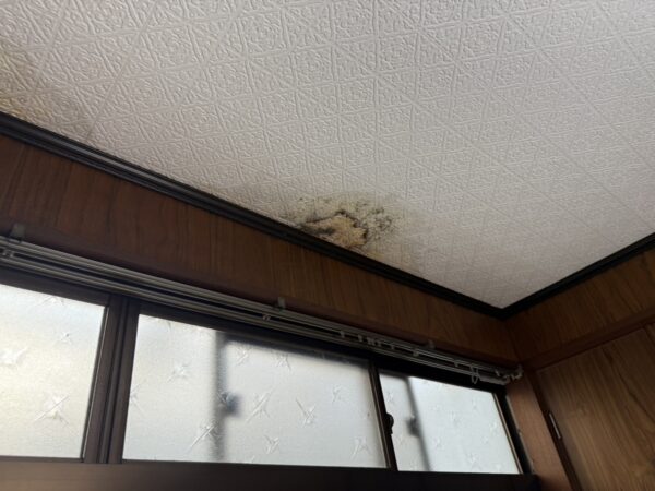 尼崎市雨漏り工事